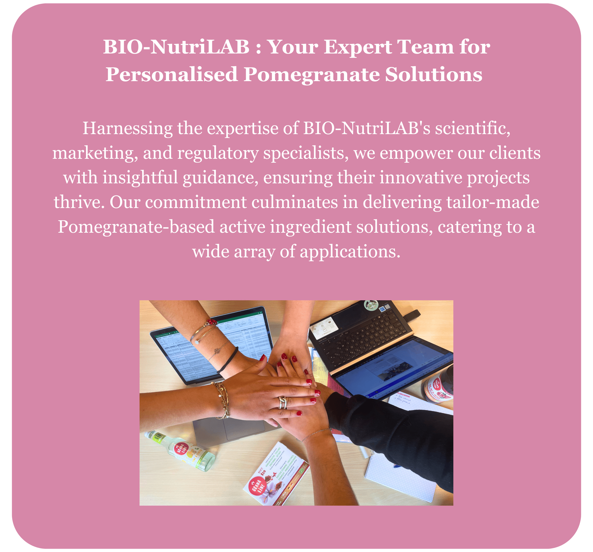 BIO-NutriLAB  Your Expert Team for Personalised Pomegranate Solutions